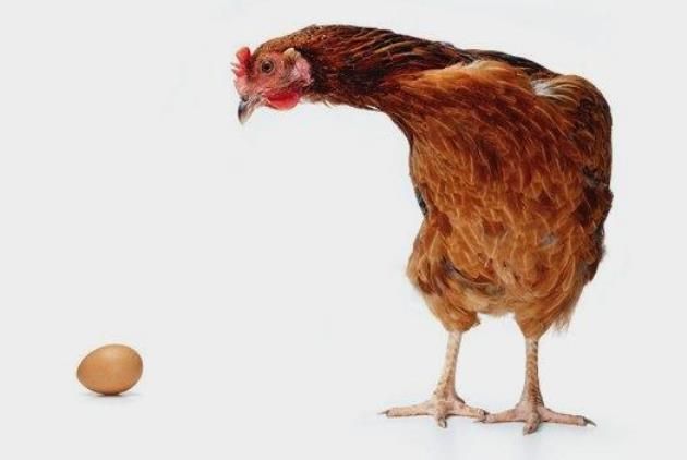 先有雞還是先有蛋：當然是先有蛋！