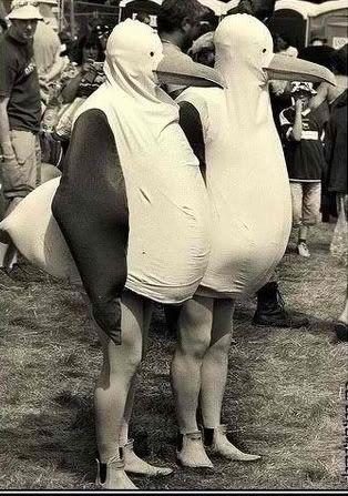 Photobucket Pictures, Images and Photos