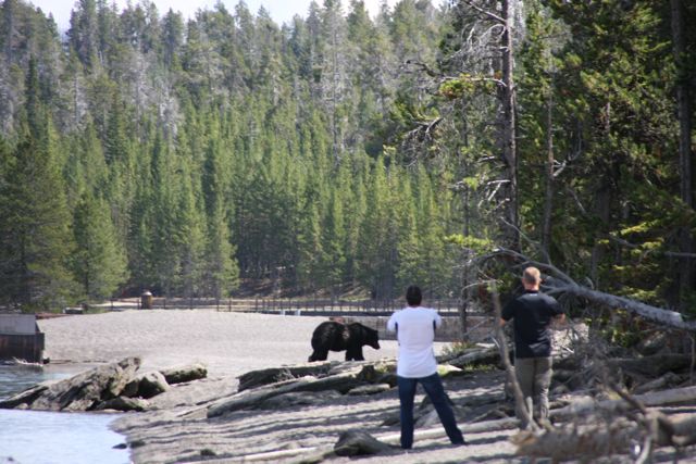  photo Yellowstone13_zps32a1bad0.jpg