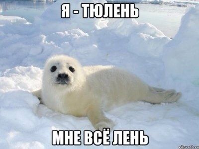  photo ea74od83adM_zps1387affc.jpg