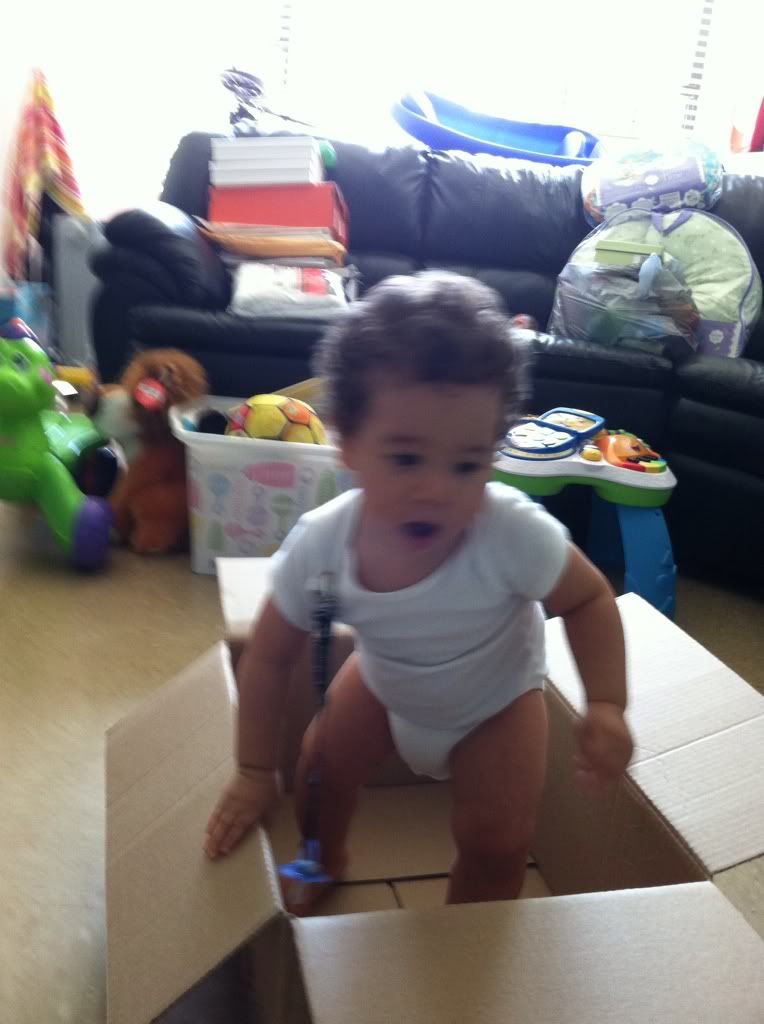 Putting objects in container BabyCenter