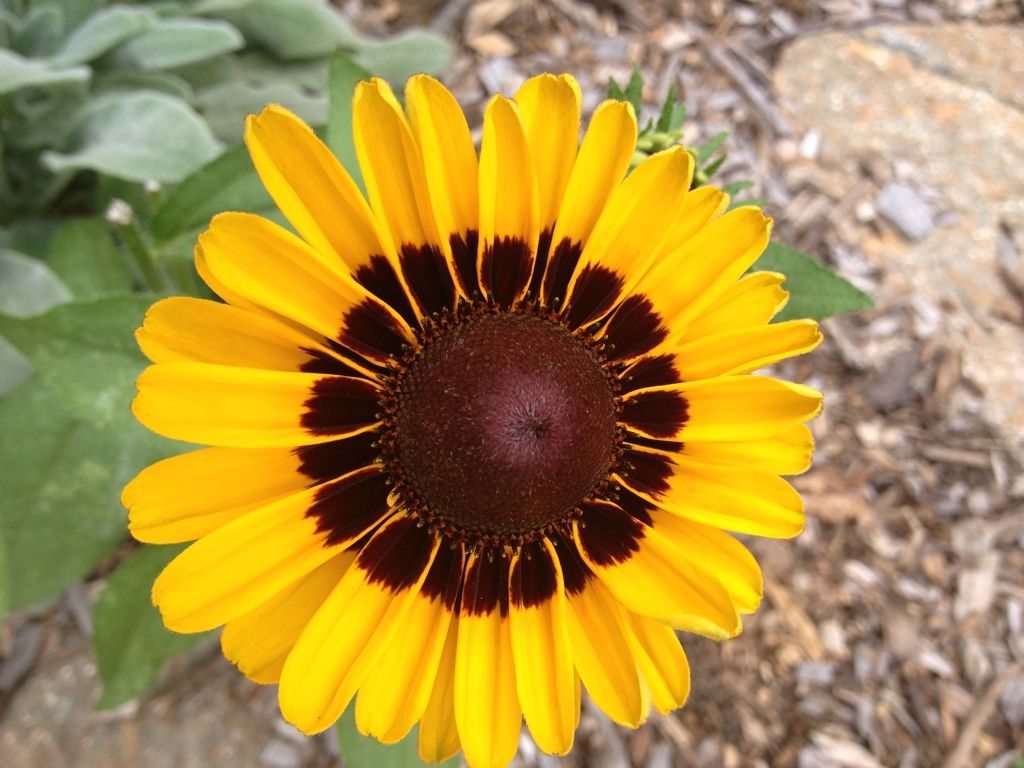 Photobucket Pictures, Images and Photos