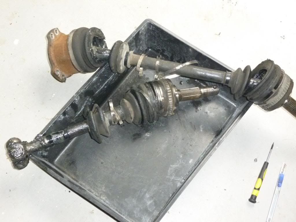P1010665_zps8128e637.jpg