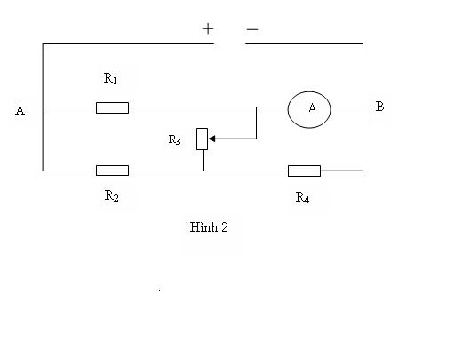 131a03c2.jpg