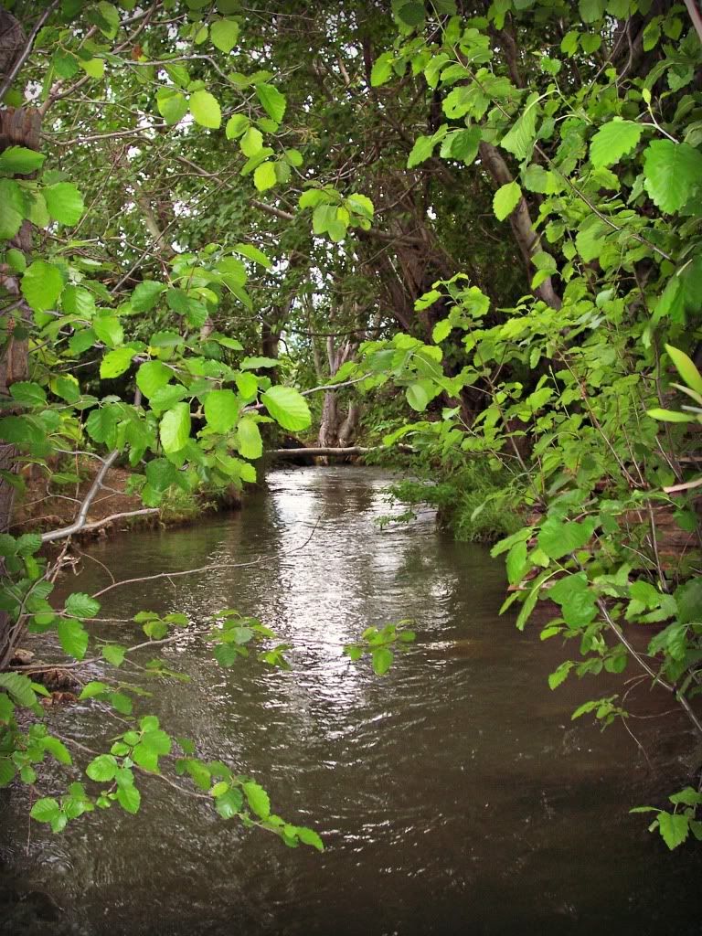 My Gypsy Soul: Places I've Roamed, Hemingway Memorial