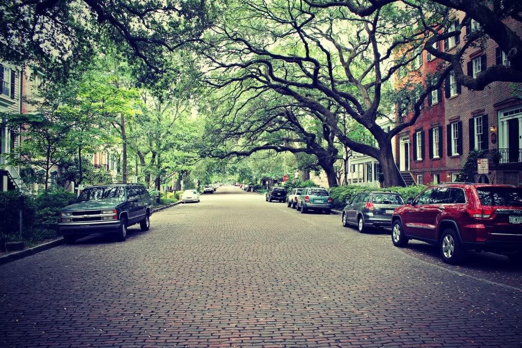 My Gypsy Soul:Savannah