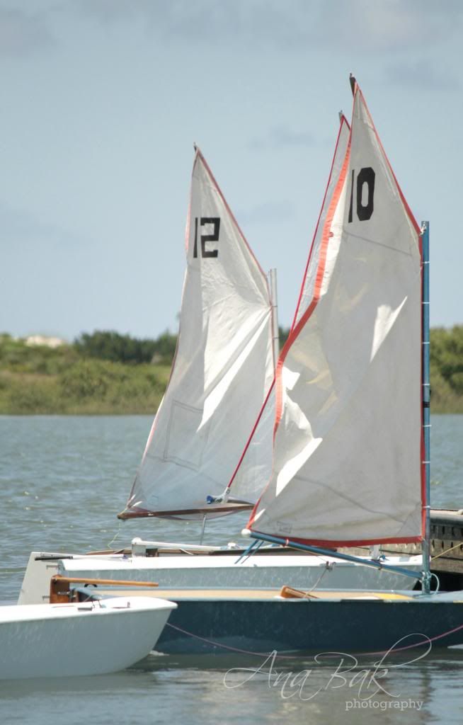 SAYC_Sailing_Camp-2014