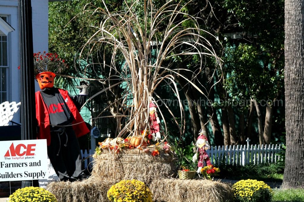 Gypsy Soul,St. Mary's GA Scarecrows