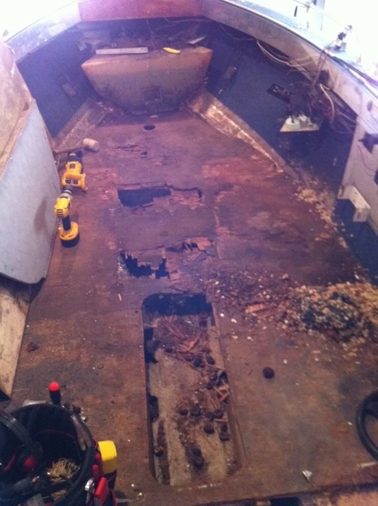 floor.jpg