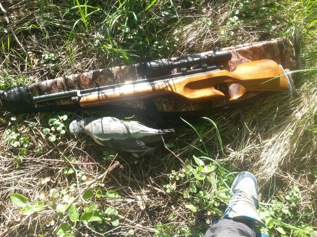 20130604_080826_zps25186d8c.jpg