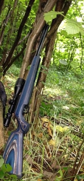 7343270f-ef72-442e-8450-884d20910df4_zps