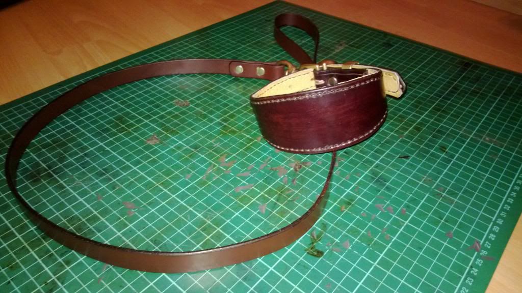 collarandleadset008_zpscdd70c65.jpg