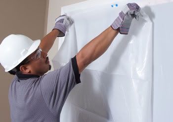 professional mold remediation