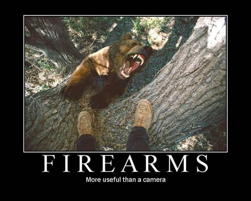firearms photo: Firearms Firearms.jpg