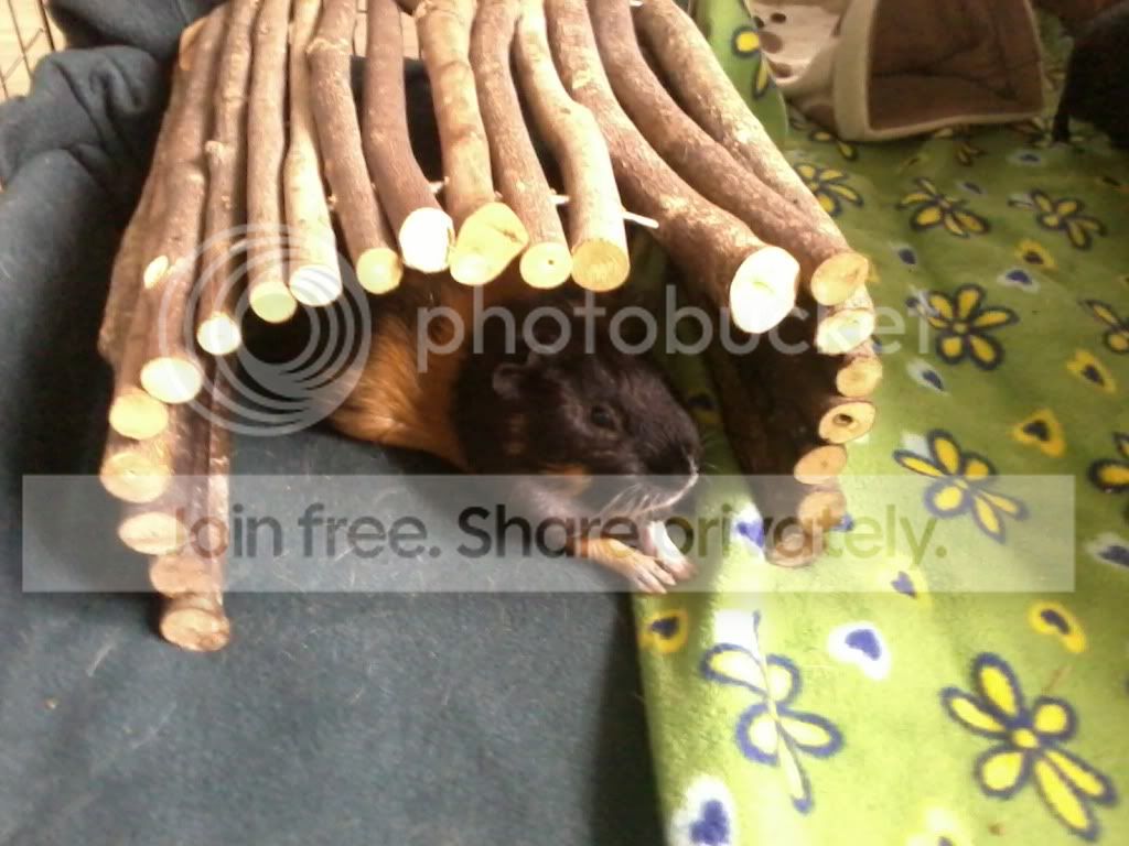 2012-05-10082415.jpg