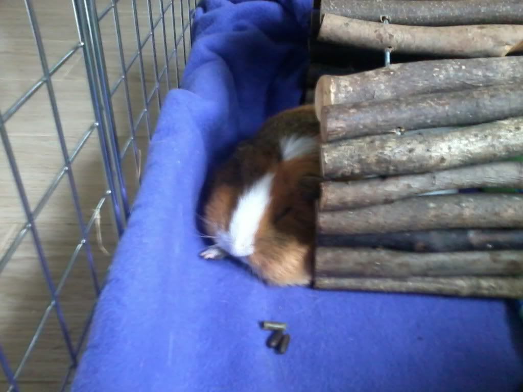 2012-06-08112457.jpg