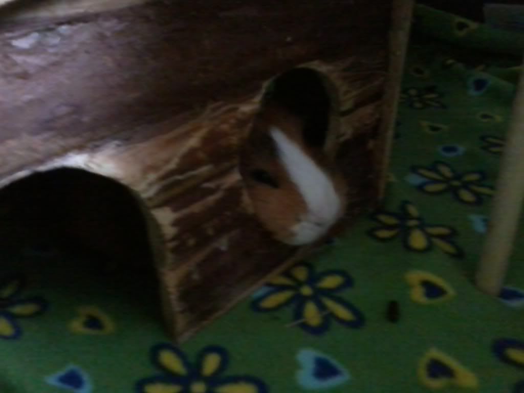 2012-06-11093433.jpg
