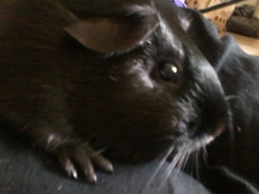 2012-07-04162020-1.jpg