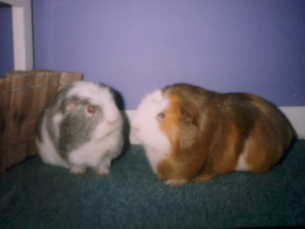 2012-07-06193233.jpg