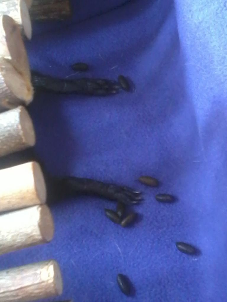 2012-07-26120140.jpg