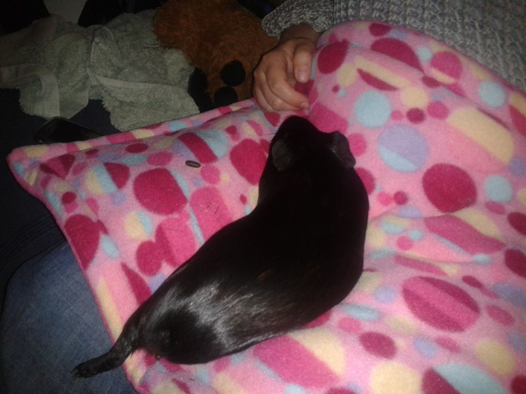 2012-10-11214802.jpg